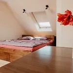 Zagornik Villa *